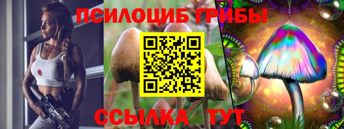 Галлюциногенные грибы мицелий Новоалександровск