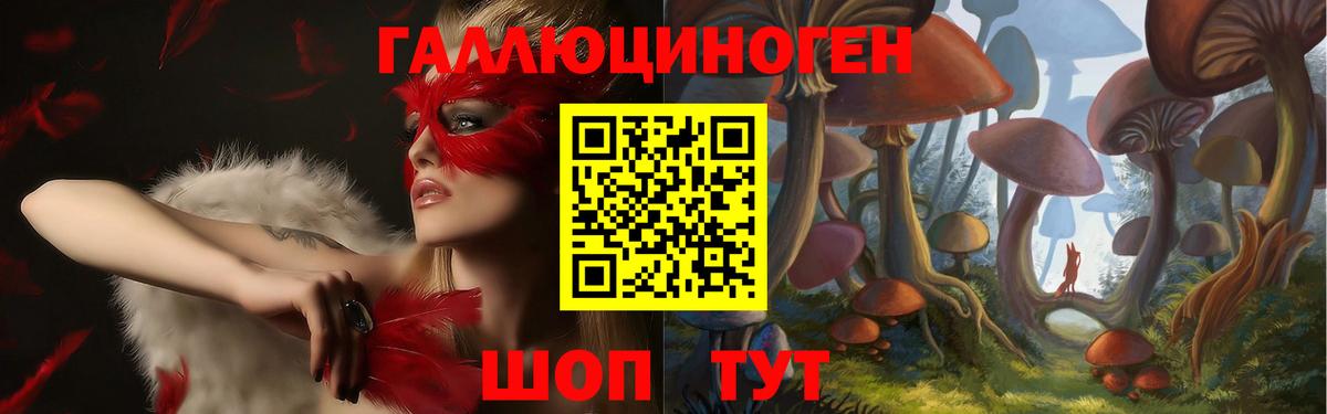 Псилоцибиновые грибы мухоморы  Вход с VPN  Новоалександровск 